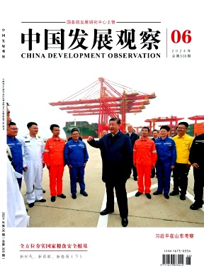 中国发展观察