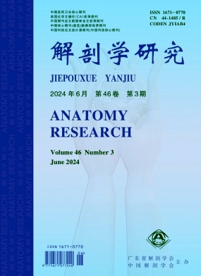 解剖学研究(原:广东解剖学通报)